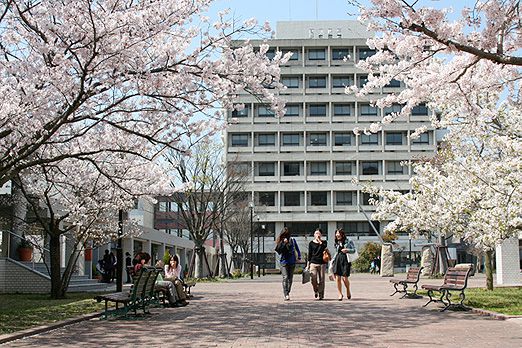 Photo: The campus where a cherry tree blooms