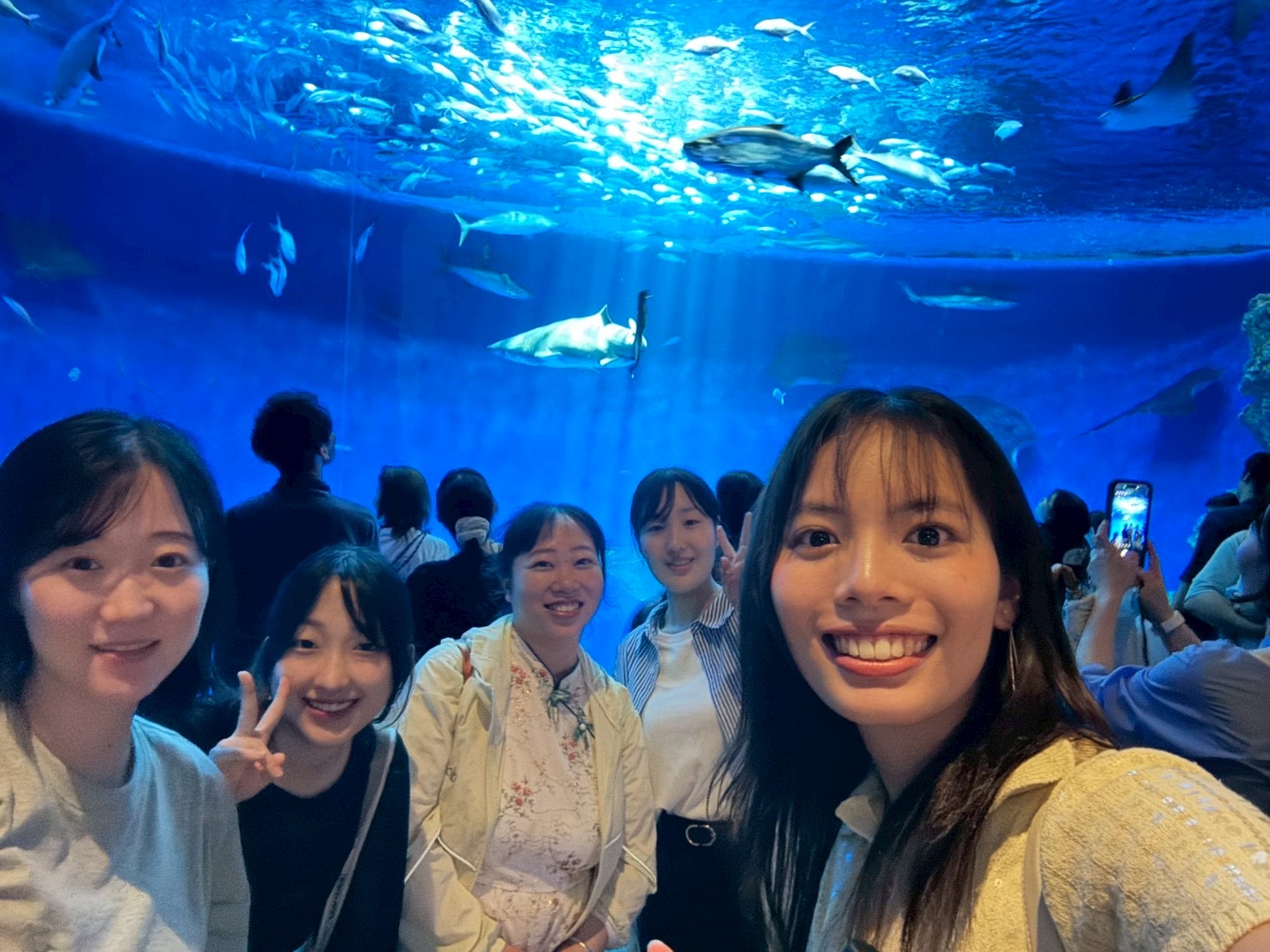 ⑤シーワールド288895E5-B35E-429E-8E38-37943899F0B8.jpeg