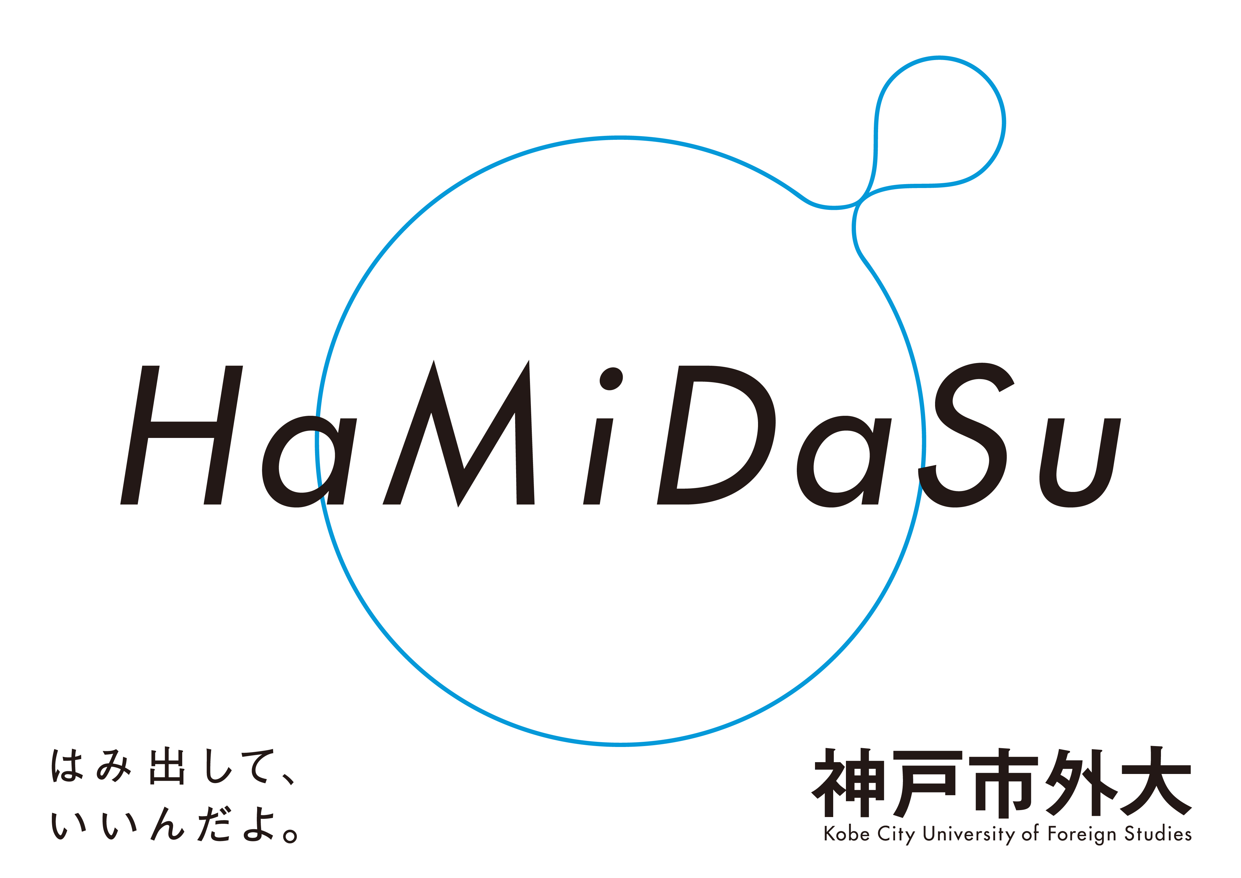 HaMiDaSulogo.jpg