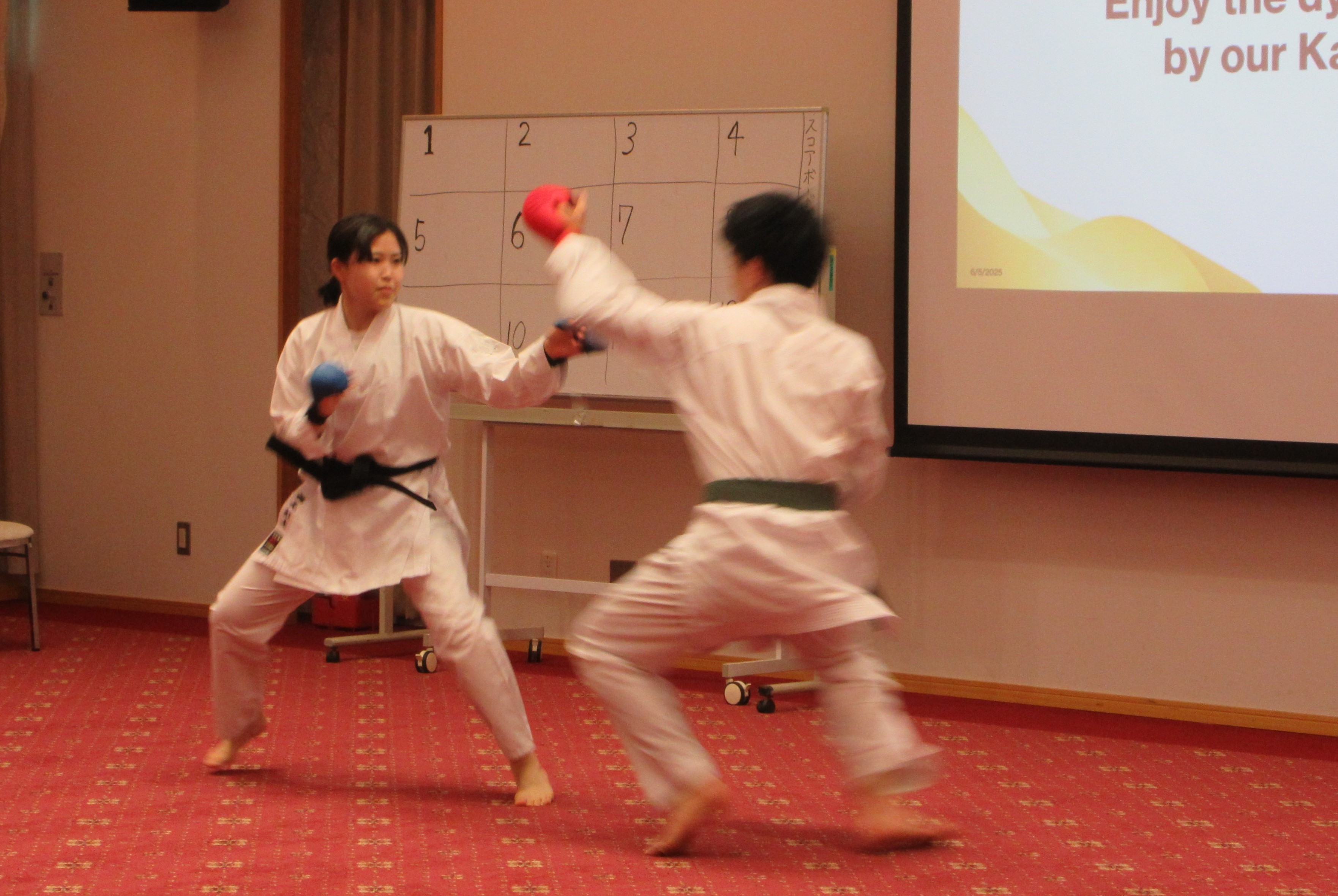 karate.JPG