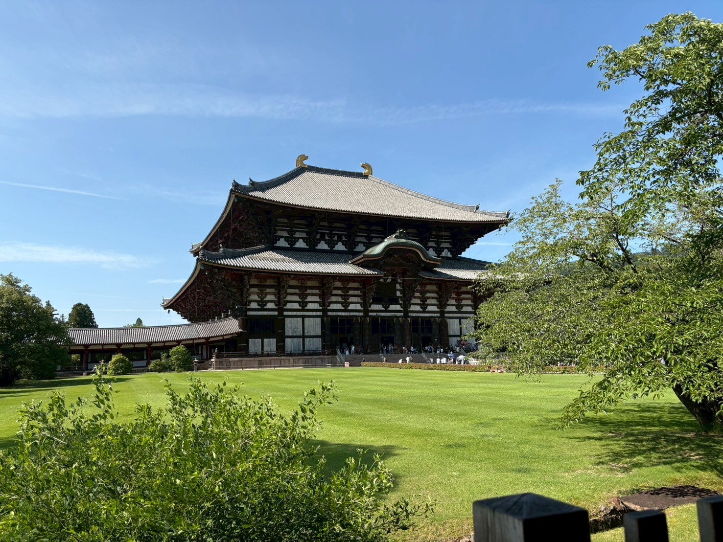 todaiji.jpeg