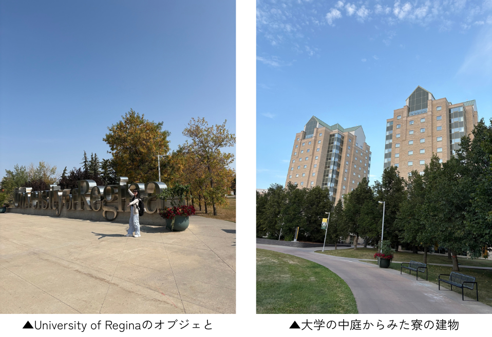 reginaunv0001.png